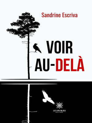 cover image of Voir au-delà